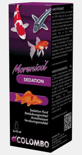 MORENICOL SEDATION LIQUID 50 ML.